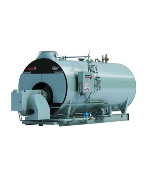 CBJT 炉筒煙管ボイラー 型式 CBJT-2D-700-50-150ST、50HP、150PSI、天然ガス焚き